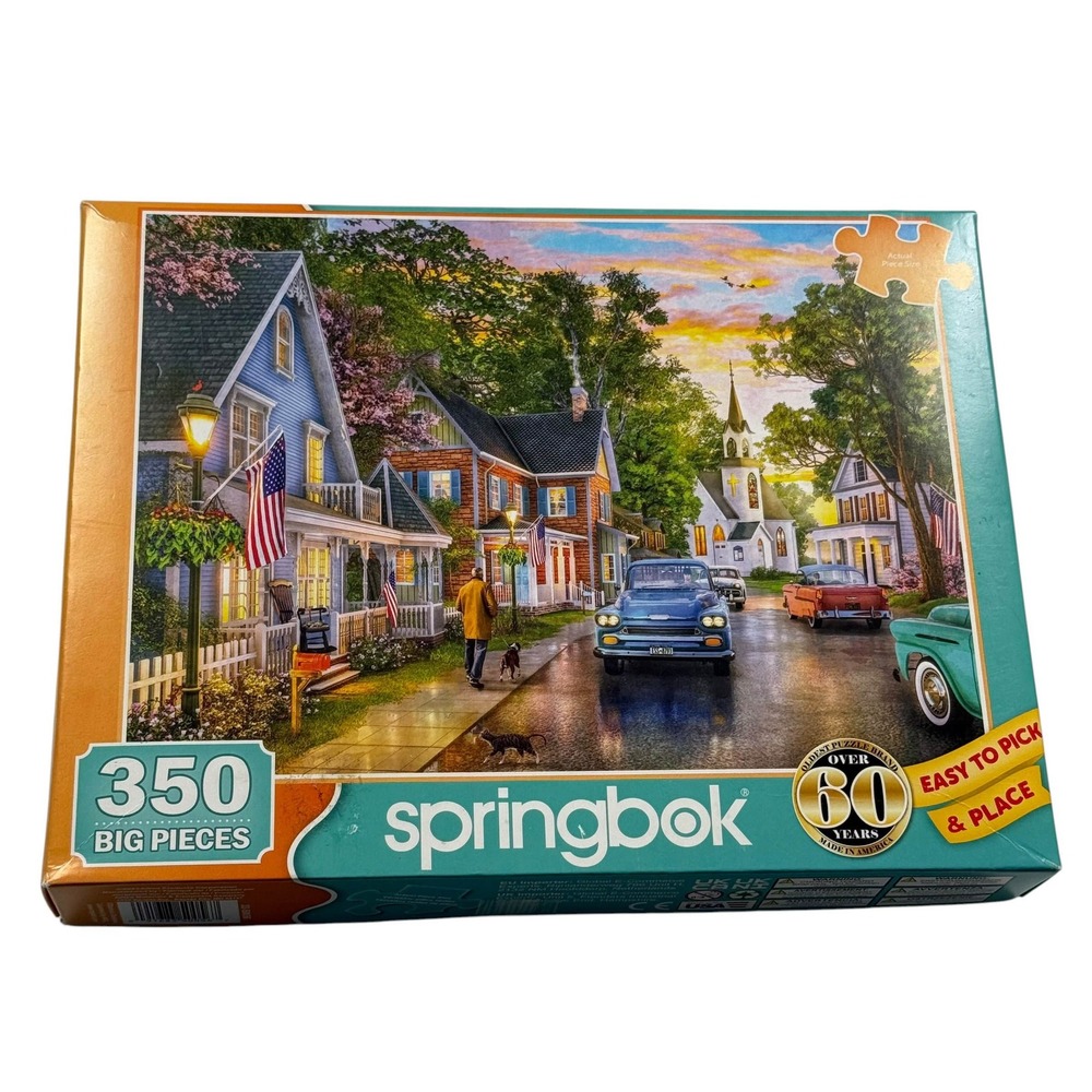 Springbok Blissful Borough 350 Piece Jigsaw Puzzle Dominic Davison COMPLETE